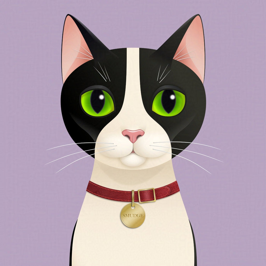 Meet Smudge: The Tuxedo Cat Behind Elusive Mouse Gifts
