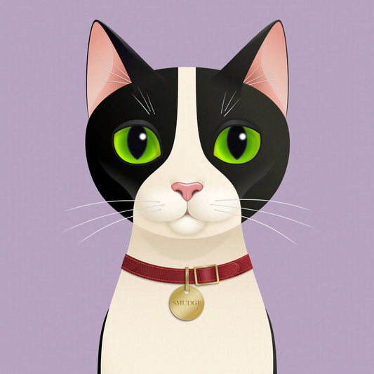 Meet Smudge: The Tuxedo Cat Behind Elusive Mouse Gifts