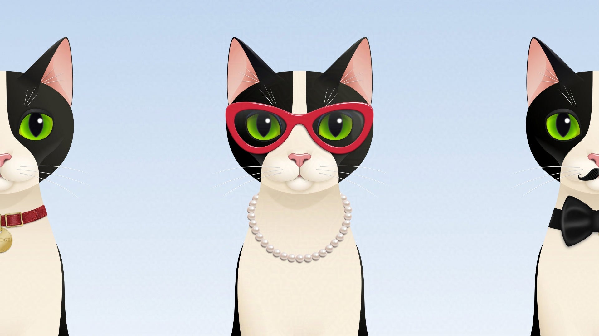 Smudge the tuxedo cat as Mrs Cat wearing pearls and glasses – blue background