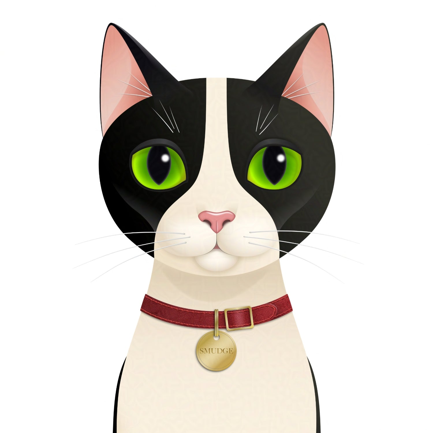 Smudge the tuxedo cat wearing a red collar, looking calmly ahead. Collection image linking to Smudge-themed gifts