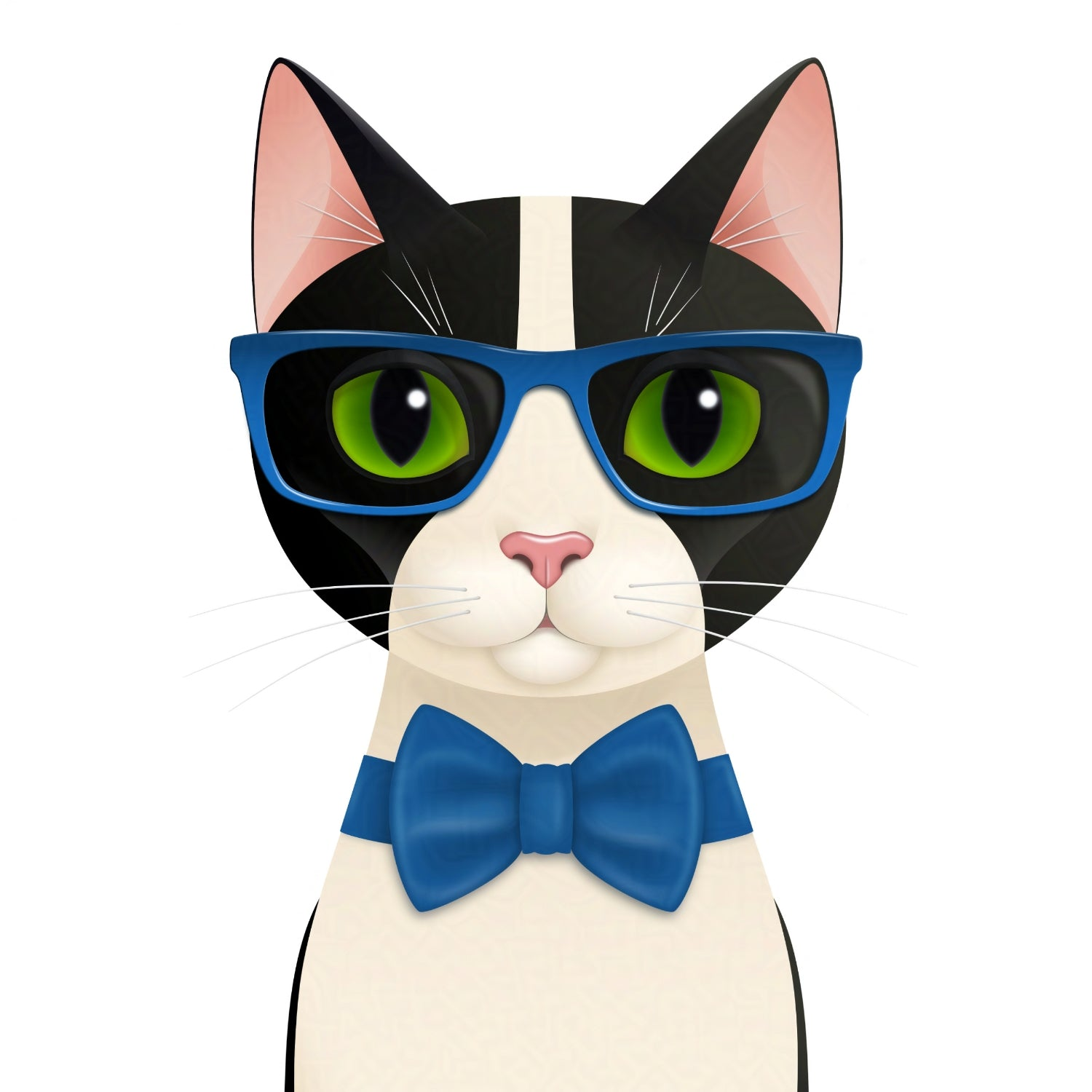 Mr Cat