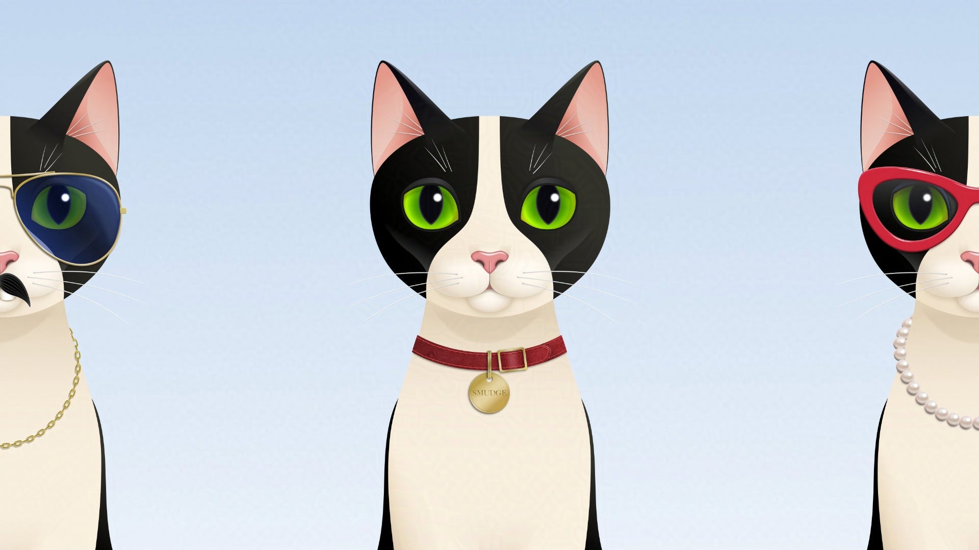 Hero banner featuring Smudge the tuxedo cat wearing a collar on blue background