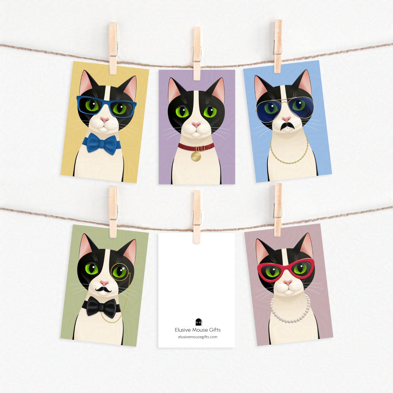 Set of cat greeting cards hanging on pegs, showing five front designs and the back of the greeting card which feature a small mouse peeking out from a mousehole.